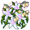 Lilitoile Bouquet (Paid)